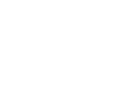 Expertise - Top Web developer in Rochester