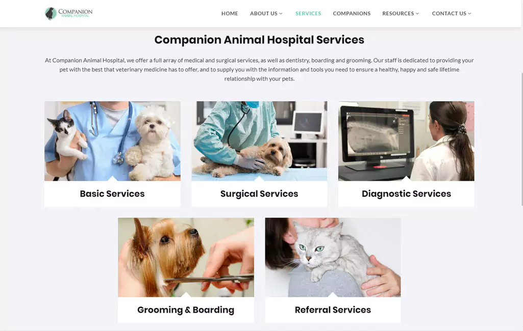 Companion Animal Hospital Picture 4